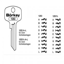BÖRKEY-1253 D/ DOM SCHLIESSANLAGEN
