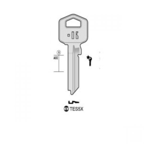 TES5#K100