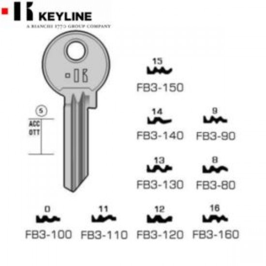 FB3-80#K100
