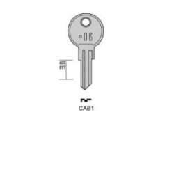 CAB – CAB1#K100