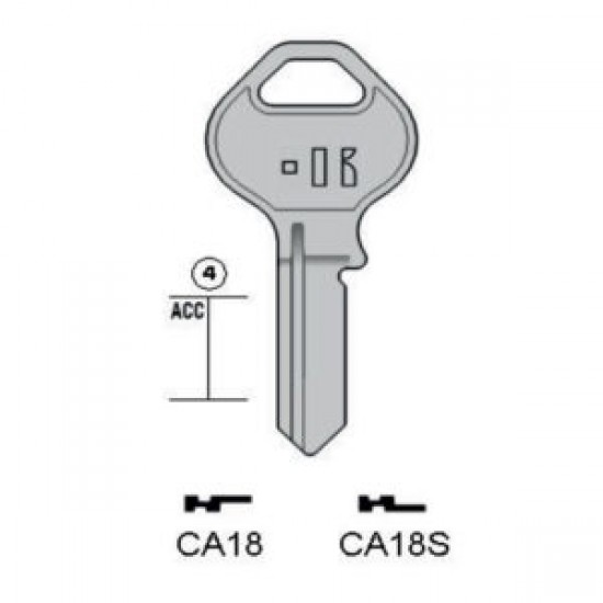 CISA – CA18S#K100