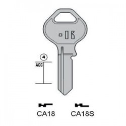 CISA – CA18#K100