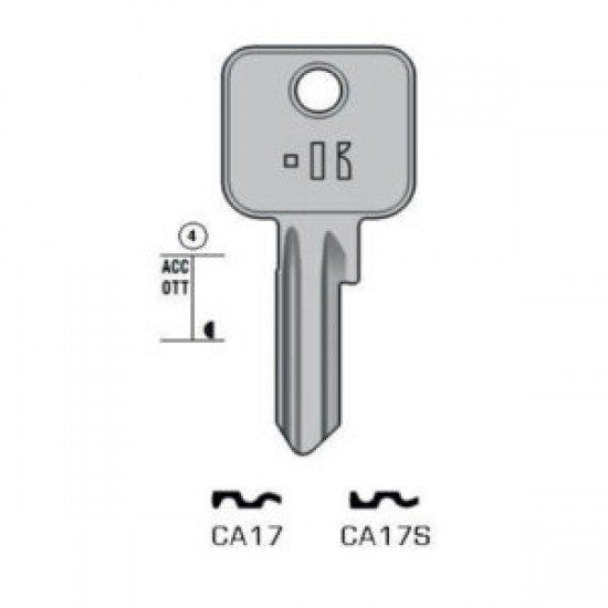 CISA – CA17S#K100