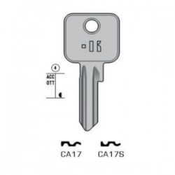 CISA – CA17#K100