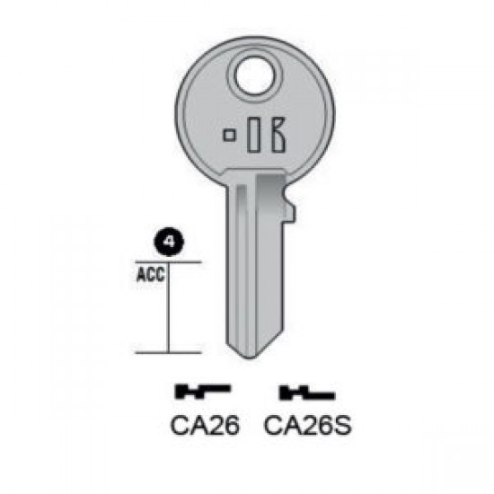 CISA – CA26#K100