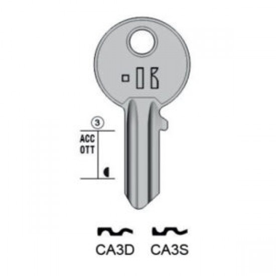 CISA – CA3S#K100