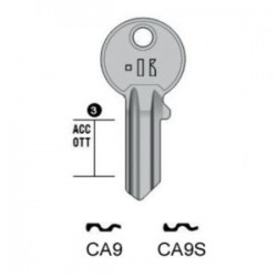 CISA – CA9#K100