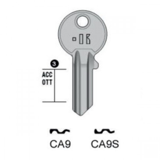 CISA – CA9#K100