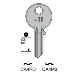 CISA – CA4PS#K100