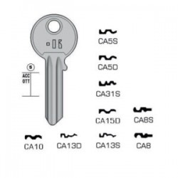 CISA – CA13S#K100