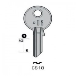 CES – CS18#K100