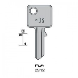 CES – CS12#K100