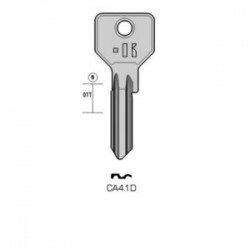 CISA – CA41D#K100