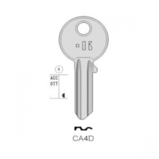 CISA – CA4D#K100