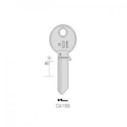 CISA – CA19S#K100
