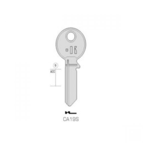 CISA – CA19S#K100