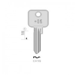CISA – CA16#K100