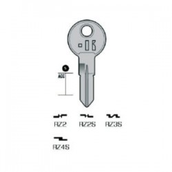 100x RENZ – RZ4S#K100