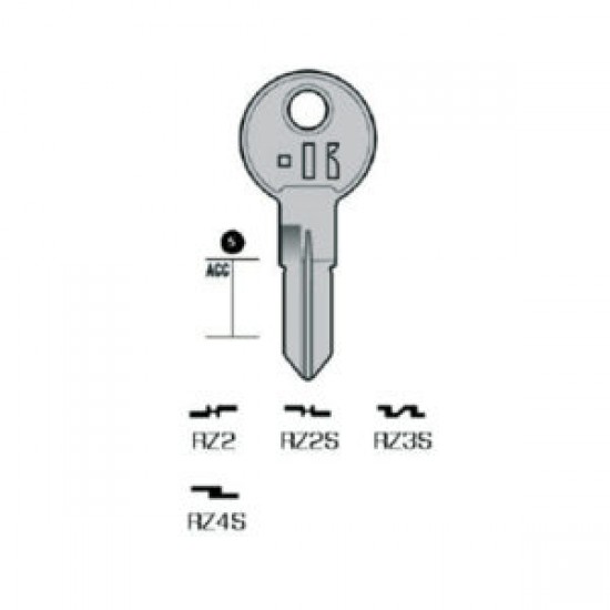 100x RENZ – RZ4S#K100