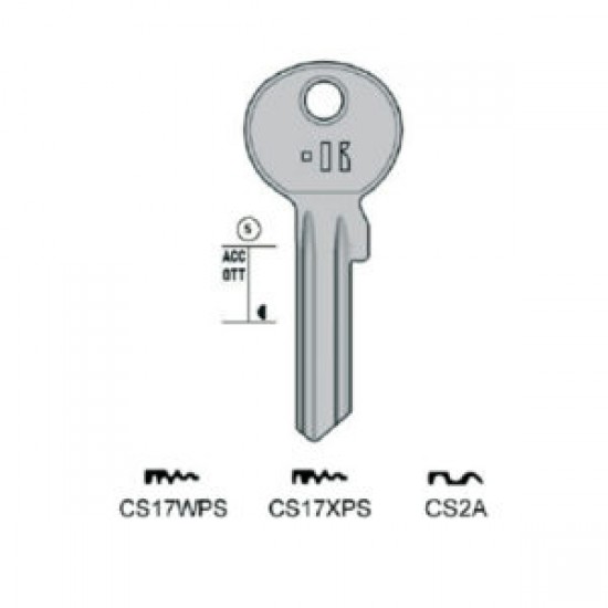 CES – CS2A#K100