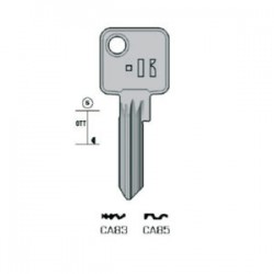 CISA ABUS – CA85#K100